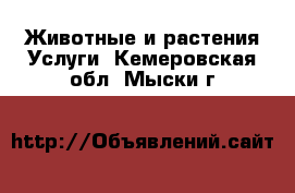 Животные и растения Услуги. Кемеровская обл.,Мыски г.